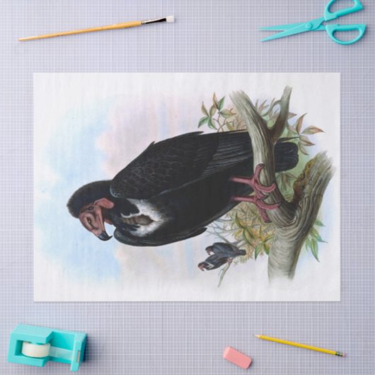  ontkoppeling van zwarte-bijenteeltvogels tissuepapier (Craft)