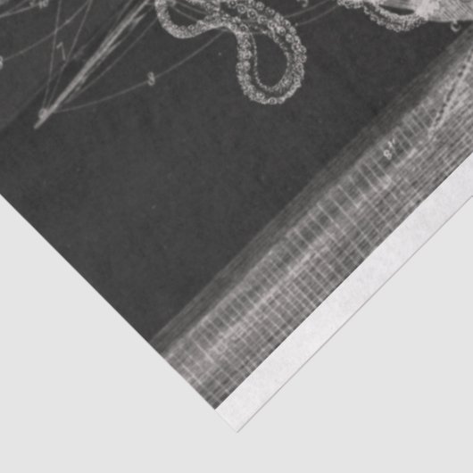 ontkoppeling van zwarte en witte Oceaan Tissuepapier (Detail)