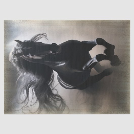 Ontkoppeling van zwarte Friesian Horse Tissuepapier (Voorkant)