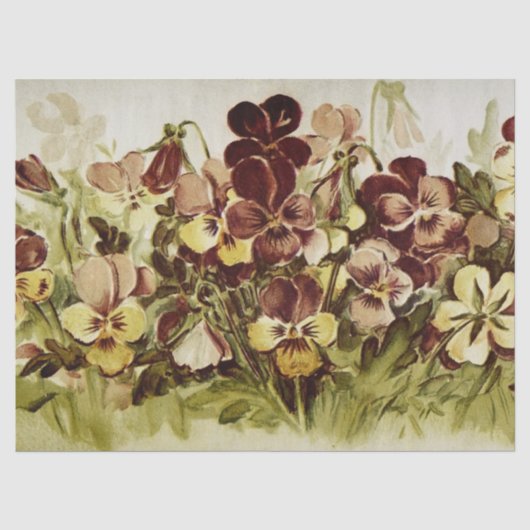 Ontkoppeling Waterverf Pansies Tissuepapier (Voorkant)