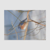 Ontkoppeling wintervogel tissuepapier (Voorkant)