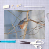 Ontkoppeling wintervogel tissuepapier (Craft)