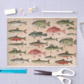 Ontkoppeling zoetwatervis van Noord-Amerika Tissuepapier (Craft)