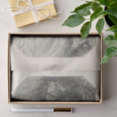 Ontkoppeling zwart-wit Titania Shakespeare Tissuepapier (Geschenk)