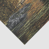 ontkoppelingsdicht bos met overdekte brug tissuepapier (Detail)