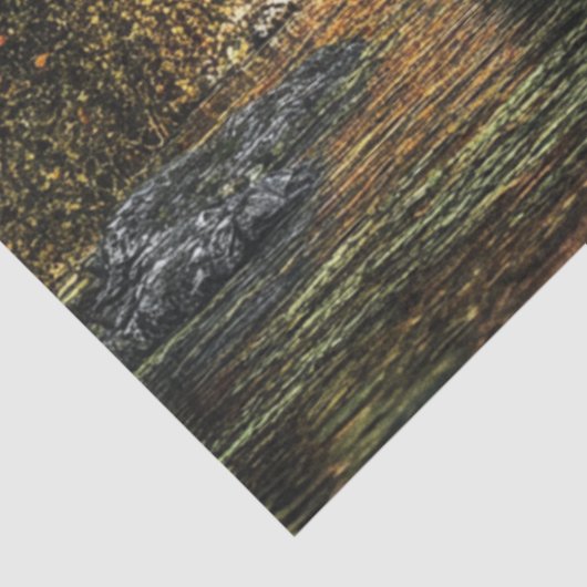 ontkoppelingsdicht bos met overdekte brug tissuepapier (Detail)