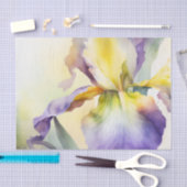 ontkoppelingsdocument IRIS Tissuepapier (Craft)