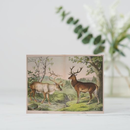  ontkoppelingskunst van Deer Stag Ephemera Briefkaart (Staand voorkant)