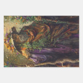 Ontkoppelingswizards Eldric Enchanter Inpakpapier Vel (Voorkant 2)