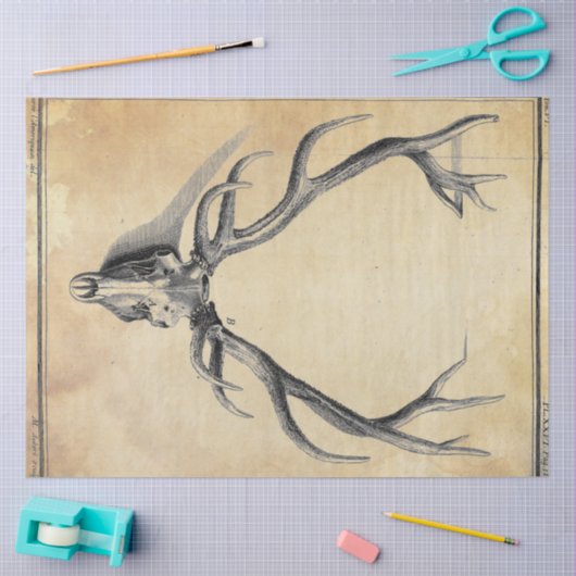 Ontkoppelpapier voor Antler Tissuepapier (Craft)