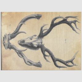 Ontkoppelpapier voor Antler Tissuepapier