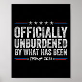 Ontlast door wat is geweest 2024 Grappig Amerika V Poster (Voorkant)