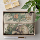  ontleding van de schedel van het Boek Tissuepapier (Geschenk)