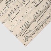 ontleding van papier voor muziekvel (Detail)