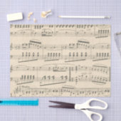 ontleding van papier voor muziekvel (Craft)