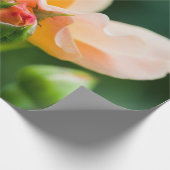 ontluikende begeerte cadeaupapier (Hoek)
