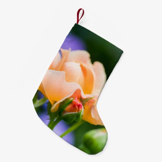 ontluikende begeerte kleine kerstsok (Voorkant (Hangend))