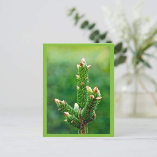 Ontluikende kerstboom Briefkaart (Staand voorkant)