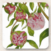 Ontluikende pioenen op Onderzetters (Voorkant)