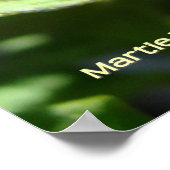 ontluikende tomaat poster (Hoek)