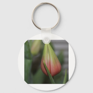 Ontluikende tulp #2 sleutelhanger