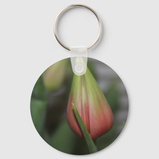 Ontluikende tulp #2 sleutelhanger (Voorkant)