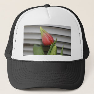 ontluikende tulp trucker pet