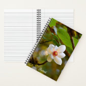Ontluikende Witte Magnolia Bloem Notitieboek (Binnen)