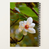 Ontluikende Witte Magnolia Bloem Notitieboek (Achterkant)