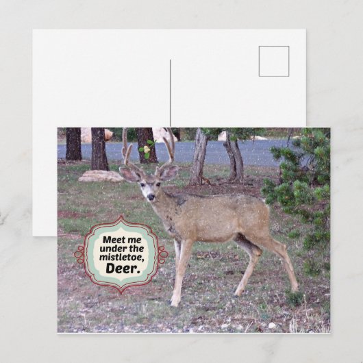 Ontmoet me onder de Mistletoe Briefkaart (Voorkant / Achterkant)