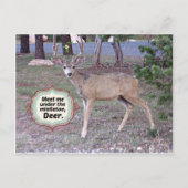 Ontmoet me onder de Mistletoe Briefkaart (Voorkant)