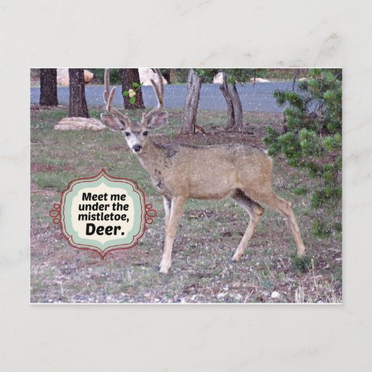 Ontmoet me onder de Mistletoe Briefkaart (Voorkant)
