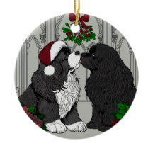 Ontmoet me onder de mistletoe Newfoundland