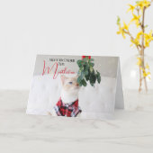 Ontmoet me onder de Mistletoe Schattigee kattenker Kaart (Gele Bloem)