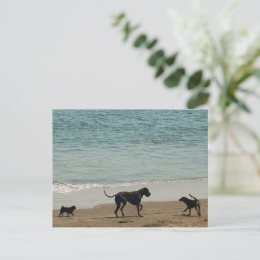 Ontmoeten en begroeten briefkaart (Staand voorkant)