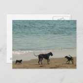 Ontmoeten en begroeten briefkaart (Voorkant / Achterkant)