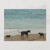 Ontmoeten en begroeten briefkaart (Voorkant)