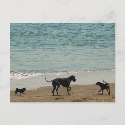 Ontmoeten en begroeten briefkaart (Voorkant)