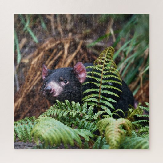 ontmoeting met de Tasmaanse duivel Legpuzzel (Verticaal)