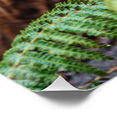 ontmoeting met de Tasmaanse duivel Perfect Poster (Hoek)