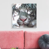 Ontmoeting met witte tijger canvas afdruk (Insitu (Woonkamer))