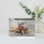 Ontmoeting van dichtbij: de intrigerende wereld va briefkaart (Staand voorkant)