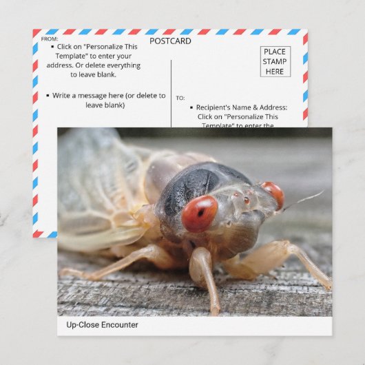 Ontmoeting van dichtbij: de intrigerende wereld va briefkaart (Voorkant / Achterkant)
