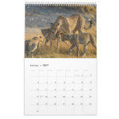 Ontmoetingen in Africa's Wild Kingdom, Kalender (Jan 2027)