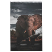 Ontmoetingen in Africa's Wild Kingdom, Kalender (Hoes)