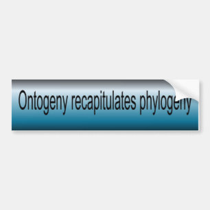 Ontogeny Recapitulate Phylogeny Bumpersticker