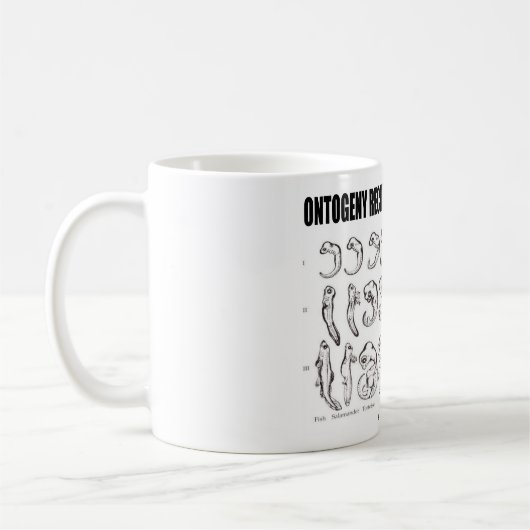 Ontogeny Recapitulaten Phylogeny (Biologie) Koffiemok (Links)