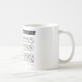 Ontogeny Recapitulaten Phylogeny (Biologie) Koffiemok