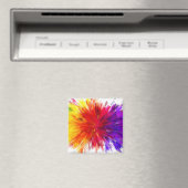 Ontploffing van kleur magneet (Insitu (Vaatwasser))