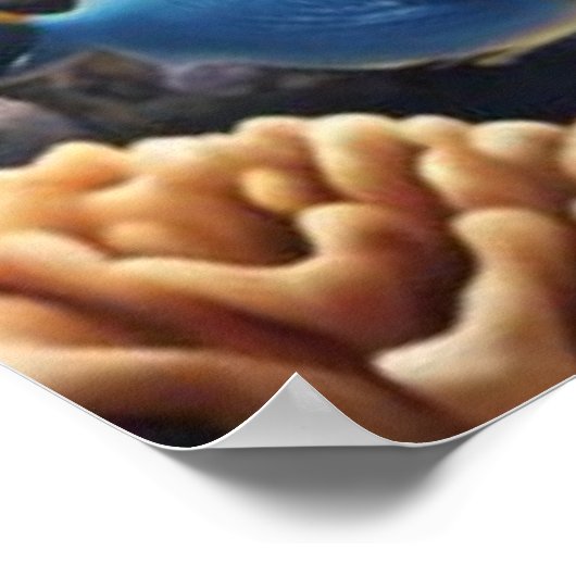 Ontsnapping van tropisch rif poster (Hoek)